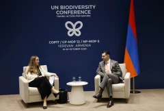 Հայաստանի բնապահպանական ծրագրերի համար միջազգային ֆինանսավորման ներգրավում և Երևանում IUCN-ի գրասենյակի հիմնում