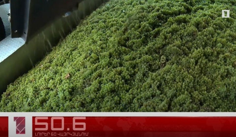 August 13 in 60 seconds