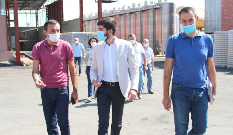 Էկոնոմիկայի փոխնախարարն Արարատի մարզում հետևել է խաղողի մթերումների ընթացքին