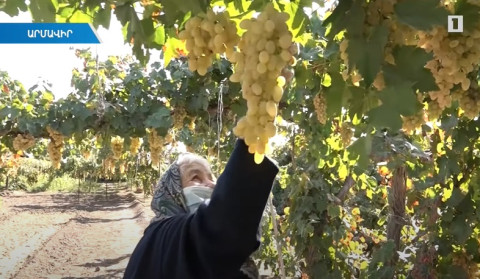 Աշխարուհի տատը բանակին է նվիրաբերել հավաքած գումարն ու թոռանը ճանապարհել ռազմաճակատ