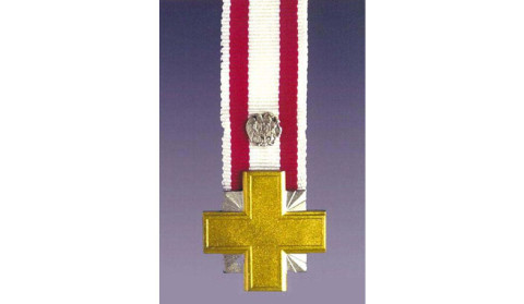 A group of servicemen were presnted to be awarded the Order of the "Battle Cross" of the 2nd degree