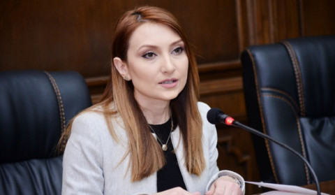 The agenda of the meeting with the PM included the January 11 meeting in Moscow and the forthcoming activities of "My Step"
