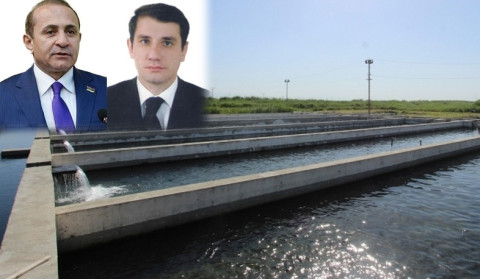 Նախկին բարձրաստիճան պաշտոնյաների խոշոր ձկնաբուծարանները՝ դատախազության ուշադրության կենտրոնում. հարուցվել է քրեական գործ