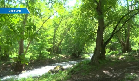 «Սոսու պուրակ» պետական արգելավայրն ամբողջությամբ Հայաստանի տարածքում է
