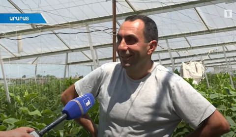 Սիփանիկցի ֆերմերը գտել է ջերմատնային բիզնեսն առավել եկամտաբեր դարձնելու գաղտնիքը