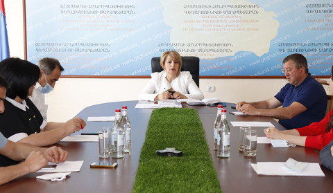 Կայացել է արտաընդերային ճանապարհով փոխանցվող հեպատիտների կանխարգելման մասնագիտական հանձնաժողովի հերթական նիստը