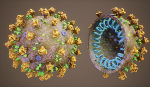 Update. 20.06.2021. 60 new coronavirus cases confirmed, 50 recovered