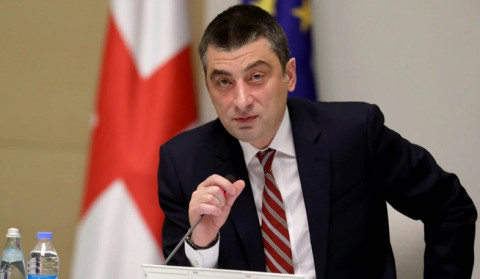 Any call for violence is unacceptable: former head of Georgian government