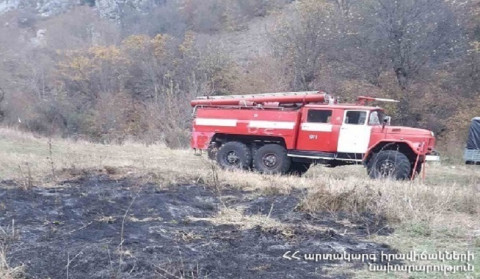 Հրդեհ Երևանի Բուսաբանական այգում
