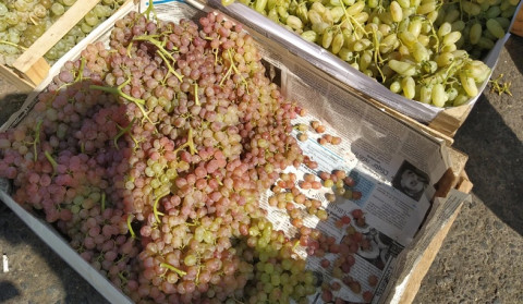 Փոփոխություններ խաղողի մթերումների նպատակով տրամադրվող վարկերի տոկոսադրույքների սուբսիդավորման ծրագրում