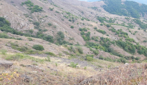 Hadrutda daha iki cəsəd tapılıb