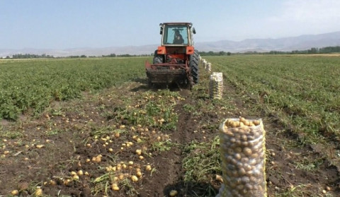Պարարտանյութերի ձեռքբերման աջակցության ծրագիրն ընթանում է բնականոն հունով. էկոնոմիկայի նախարարություն