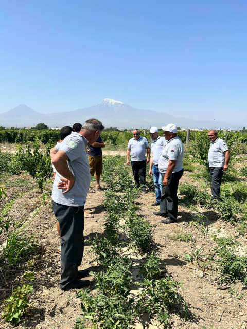 Բույսերի պաշտպանության միջոցառումները՝ ՍԱՏՄ առաջնահերթություն