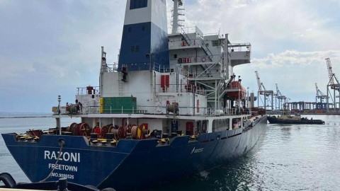 First cargo ship with Ukrainian grain is in Istanbul, coordination center starts inspection