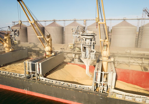 Ukraine expects to export 6 million tons of grain per month, as seaports in south reopen