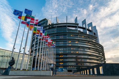 Members of European Parliament urge Azerbaijan to stop offensive against Armenia