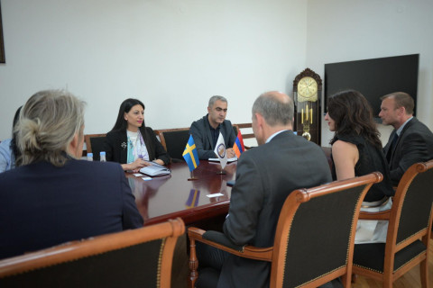ՄԻՊ-ն ու Ռաուլ Վալենբերգի ինստիտուտի տնօրենի գլխավորած պատվիրակությունը քննարկել են համագործակցությանը վերաբերող հարցեր
