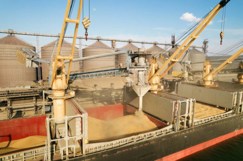 For more than two weeks, ships involved in grain deal have not been able to enter Black Sea: United Nations