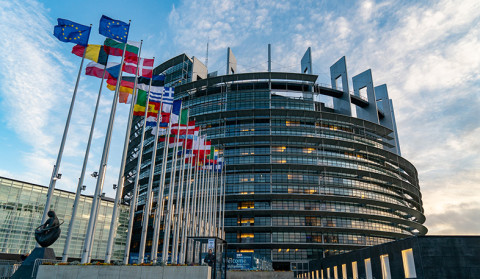 EP members call on immediate halt of all military actions in NK