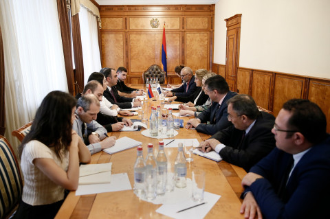 ՆԳ նախարարն ընդունել է Խոշտանգումների կանխարգելման կոմիտեի պատվիրակությանը․ անդրադարձ է կատարվել ԼՂ-ում տիրող իրավիճակին