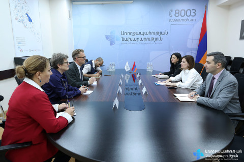 Առողջապահության նախարարը ԱՀԿ պաշտոնյային է ներկայացրել ԼՂ-ից բռնի տեղահանման հետևանքով ստեղծված իրավիճակը