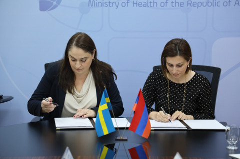 Հայ-շվեդական համագործակցությունը կնպաստի Հայաստանի առողջապահության համակարգի զարգացմանը. Ավանեսյան