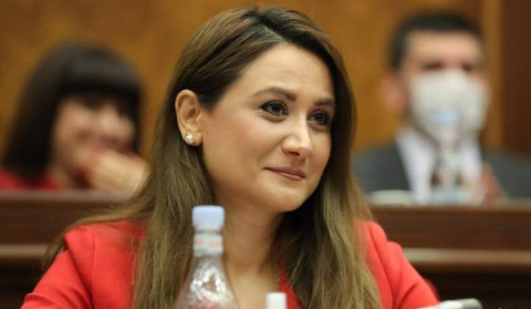 Հայաստանի Հանրապետության տարածքում գործում են բացառապես ՀՀ ինստիտուտները. Արուսյակ Ջուլհակյան