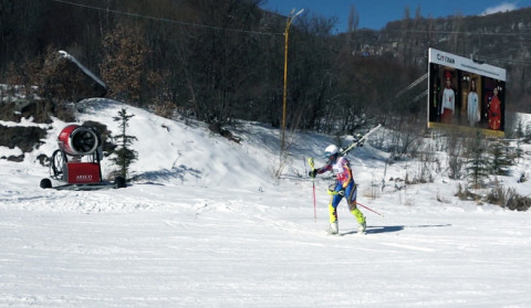 Olympic skier left without skis