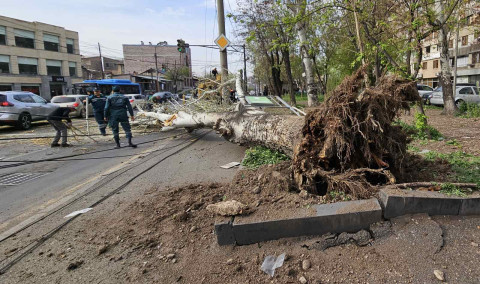 Խորենացու փողոցում բարդին կոտրվել է և մի մասով ընկել էլեկտրական լարերի վրա