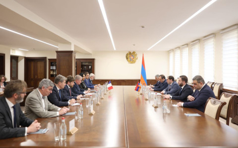 Papikyan və Fransa-Ermənistan dostluq qrupunun rəhbəri müdafiə sahəsində əməkdaşlıqla bağlı məsələləri müzakirə ediblər
