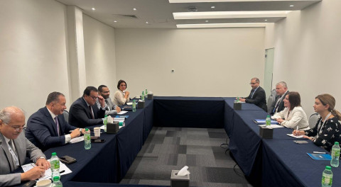 Անահիտ Ավանեսյանը Եգիպտոսի առողջապահության նախարարի հետ քննարկել է դեղագործության ոլորտում համագործակցության հնարավորությունները