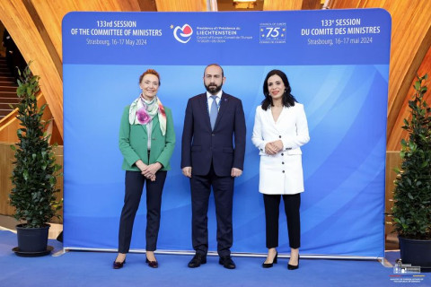 Ararat Mirzoyan participates in 133rd session of CE Ministerial Committee