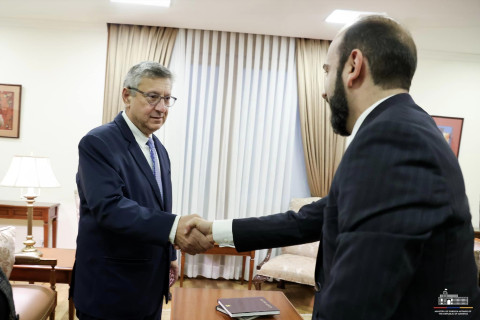 Mirzoyan and leadership of Armenian Assembly of America exchanged ideas on Armenia-US political dialogue and regional issues