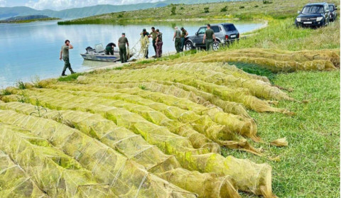 Նորաշենի արգելոցի ջրային տարածքներից և Սևան համայնքին հարող լճի ափամերձ հատվածից դուրս է բերվել 101 խեցգետնորսիչ