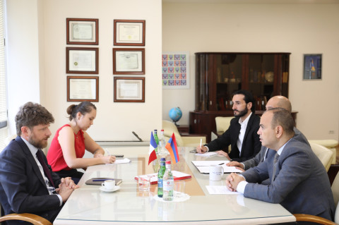 Zareh Sinanyan and French ambassador referred to second Global Armenian Summit to be held in Yerevan