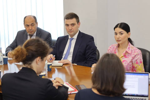 Զարգացման ֆրանսիական գործակալության ներկայացուցիչների հետ քննարկվել են Երևանում և մարզերում հանրային տրանսպորտի հետ կապված խնդիրները
