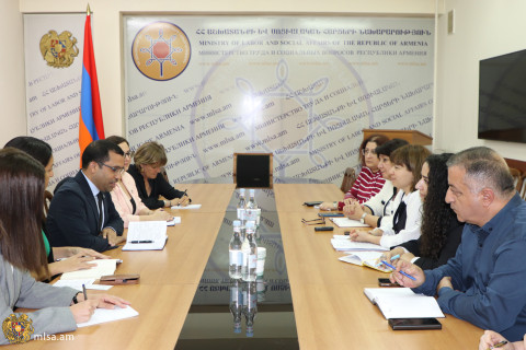 ԱՀԿ գրասենյակի ղեկավարի հետ քննարկվել են հաշմանդամություն ունեցող անձանց հիմնահարցերի ոլորտում փոխգործակցության հարցեր