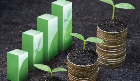 5.6 percent economic growth envisaged in 2025: Finance Minister