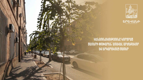Կենսունակությունը կորցրած ծառերի փոխարեն՝ առավել արժեքավոր և երկարակյաց ծառեր