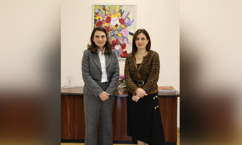 Քննարկվել են համահայկական բժշկական կոնգրեսի առջև դրված խնդիրները