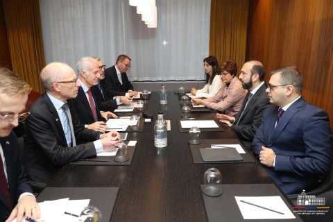 Ararat Mirzoyan met with managing director of Westinghouse Electric Sweden