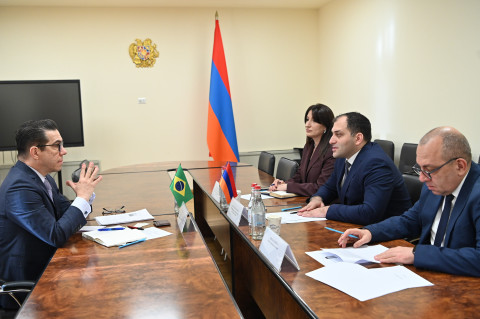 Բրազիլիան հետաքրքրված է տեխնոլոգիական ոլորտում Հայաստանի հետ համագործակցությամբ. ԲՏԱ նախարարի առաջին տեղակալն ընդունել է դեսպանին