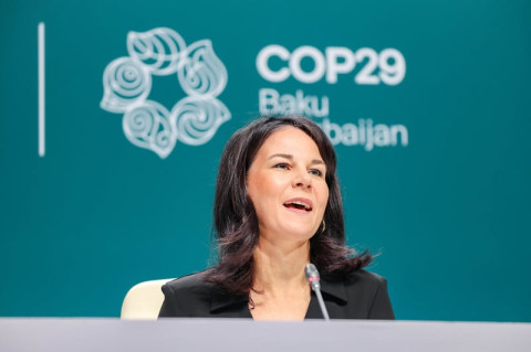 Germany won't accept COP29 deal at expense of vulnerable nations, says Baerbock