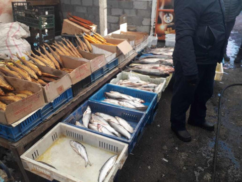 ԲԸՏՄ-ն Գյումրու շուկայից առգրավել է 15 կգ սիգ