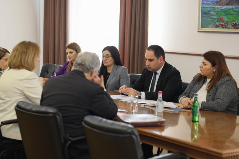 ՏԿԵ նախարարն ու Քրիստինա Քվինը քննարկել են դեպի ԱՄՆ ուղիղ չվերթեր սկսելու հնարավորությունը