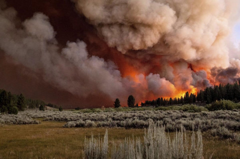 California fires remain unstable as dry, windy weather persists: authority