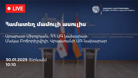 Մեկնարկել է Հայաստանի և Վրաստանի ԱԳ նախարարների մամուլի ասուլիսը