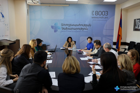Լենա Նանուշյանը գործընկերների և փորձագետների հետ քննարկել է սննդամթերքում աղի նվազեցման մոդելի մշակման հնարավորությունը