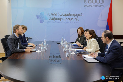 Եթե սկսենք 2026-ի հունվարի 1-ից՝ երեք տարում կհասնենք մինչև 80 տոկոս ապահովագրական ծածկույթի. Ավանեսյան