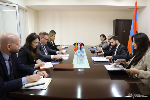 Political consultations between the Foreign Ministries of the Republic of Armenia and Montenegro